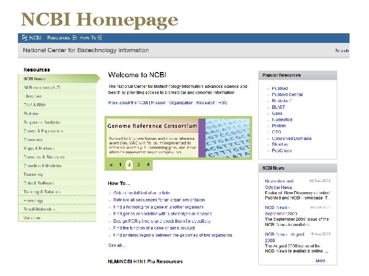 NCBI Homepage 