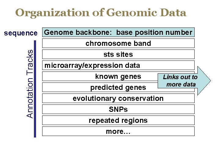 Organization of Genomic Data Annotation Tracks sequence Genome backbone: base position number chromosome band