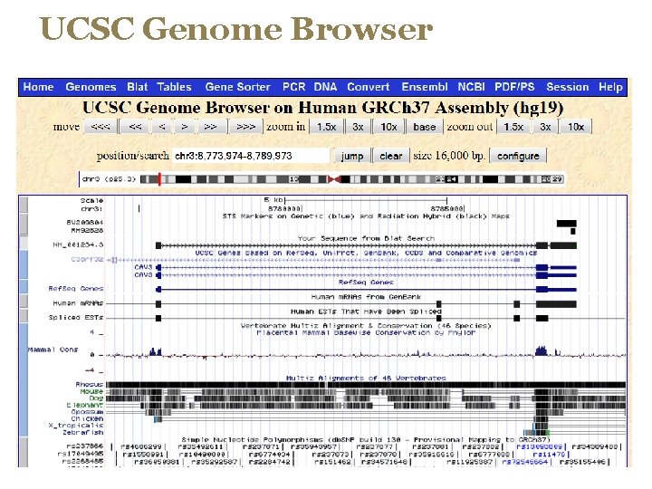 UCSC Genome Browser 