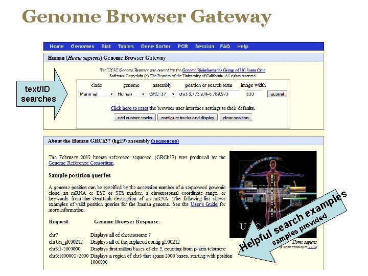 Genome Browser Gateway text/ID searches le p m xa d e e h rc