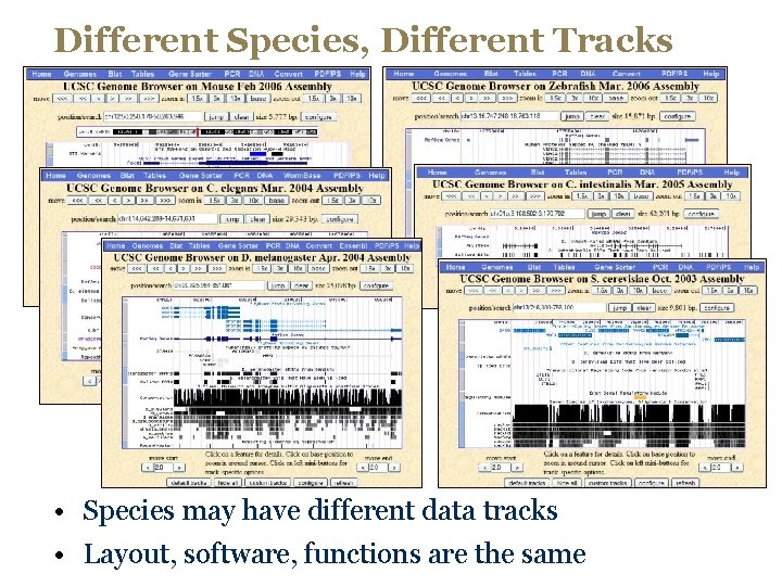 Different Species, Different Tracks • Species may have different data tracks • Layout, software,