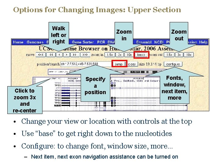 Options for Changing Images: Upper Section Walk left or right Click to zoom 3