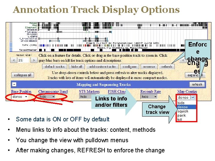 Annotation Track Display Options Enforc enfor e ce chang s es Links to info