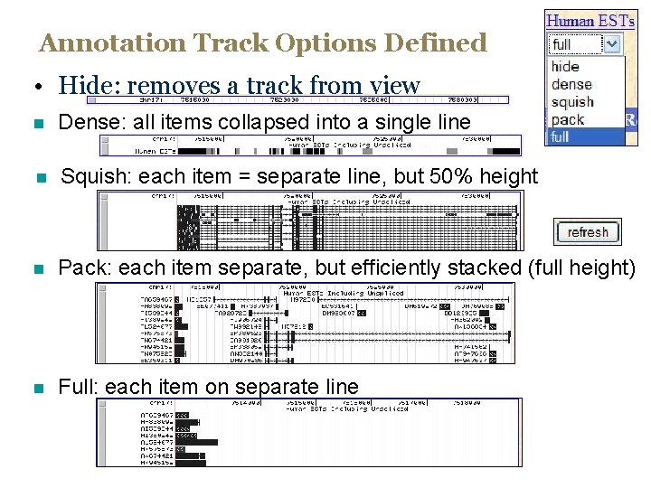 Annotation Track Options Defined • Hide: removes a track from view n Dense: all