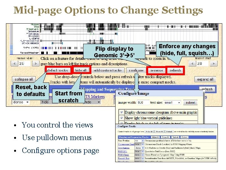 Mid-page Options to Change Settings Flip display to Genomic 3’ 5’ Reset, back to