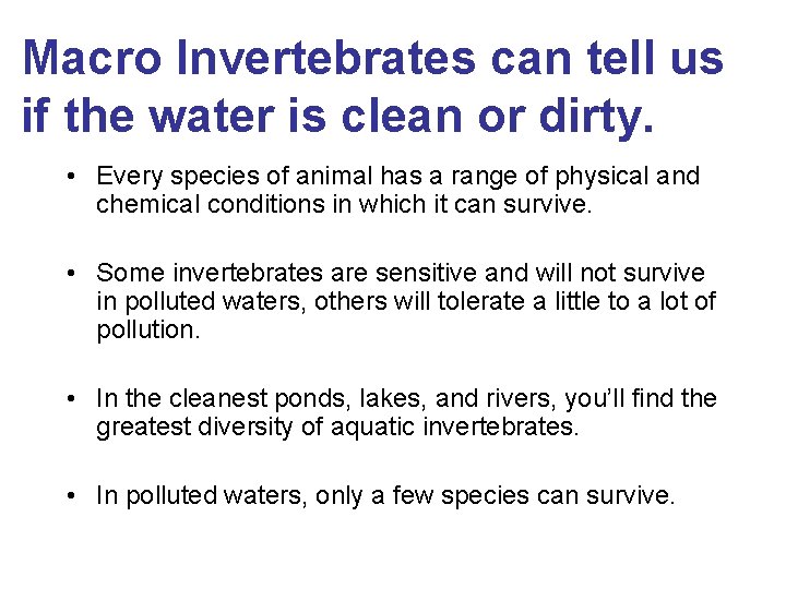 Macro Invertebrates can tell us if the water is clean or dirty. • Every
