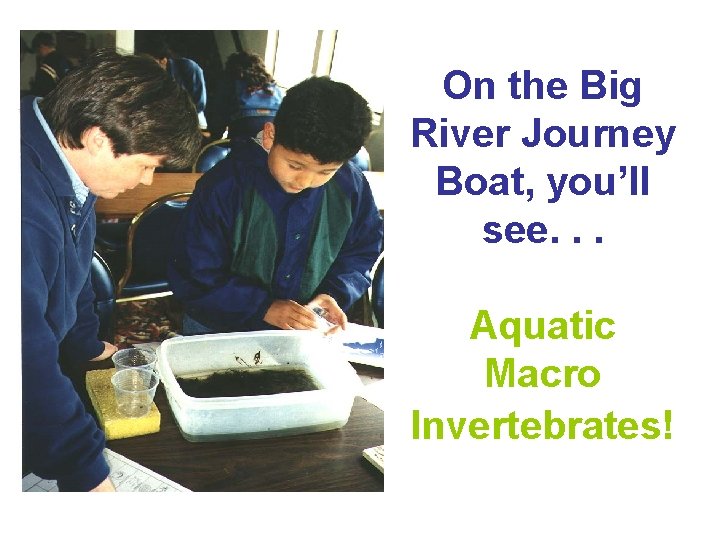 On the Big River Journey Boat, you’ll see. . . Aquatic Macro Invertebrates! 