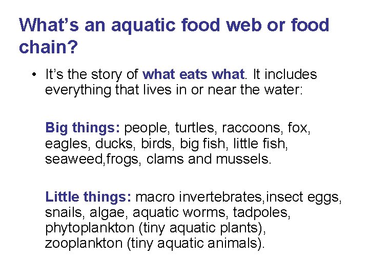 What’s an aquatic food web or food chain? • It’s the story of what