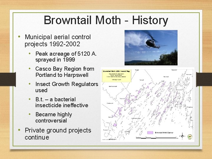 Browntail Moth - History • Municipal aerial control projects 1992 -2002 • Peak acreage