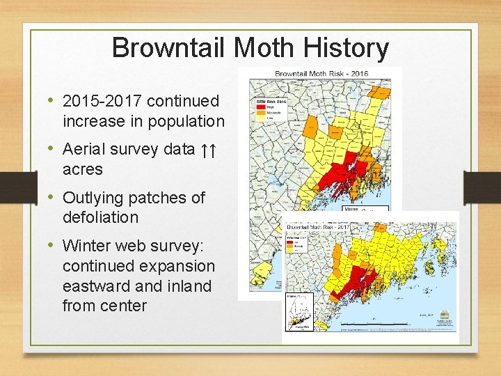 Browntail Moth History • 2015 -2017 continued increase in population • Aerial survey data