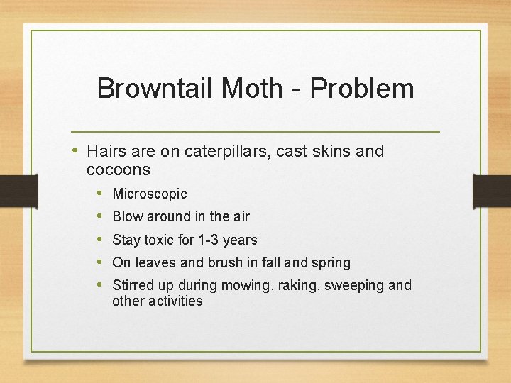 Browntail Moth - Problem • Hairs are on caterpillars, cast skins and cocoons •