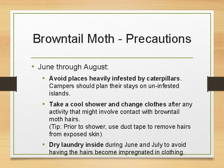 Browntail Moth - Precautions • June through August: • Avoid places heavily infested by