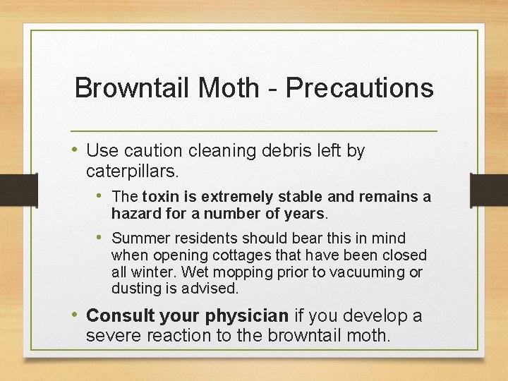 Browntail Moth - Precautions • Use caution cleaning debris left by caterpillars. • The