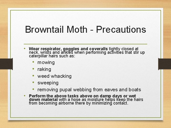 Browntail Moth - Precautions • Wear respirator, goggles and coveralls tightly closed at neck,