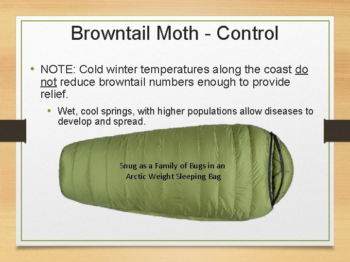 Browntail Moth - Control • NOTE: Cold winter temperatures along the coast do not