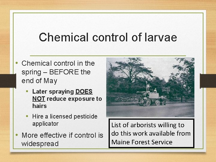 Chemical control of larvae • Chemical control in the spring – BEFORE the end