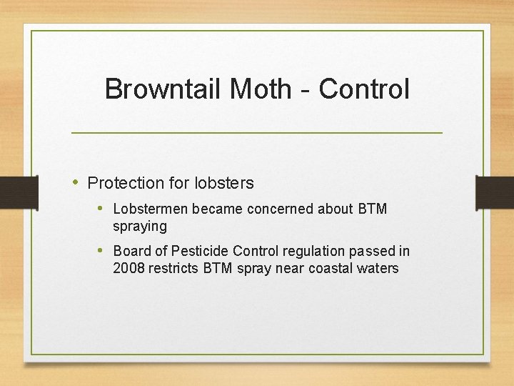 Browntail Moth - Control • Protection for lobsters • Lobstermen became concerned about BTM