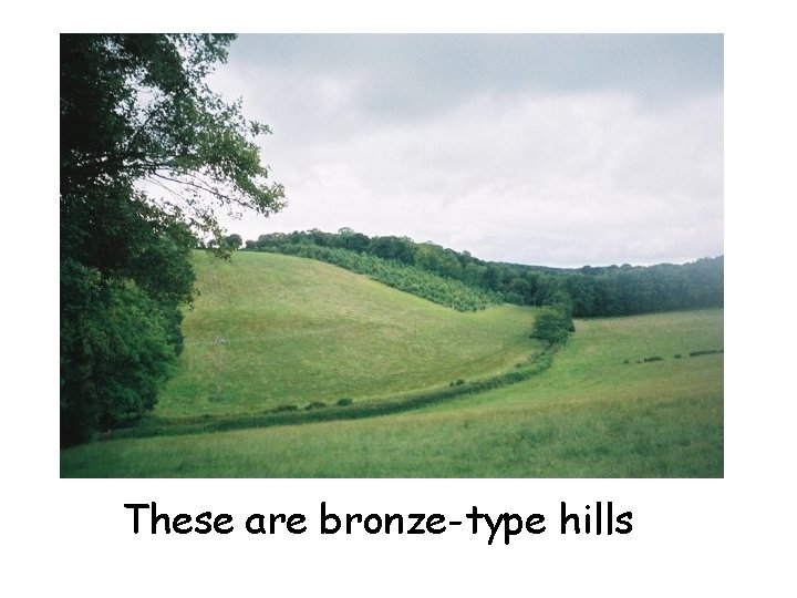 These are bronze-type hills 