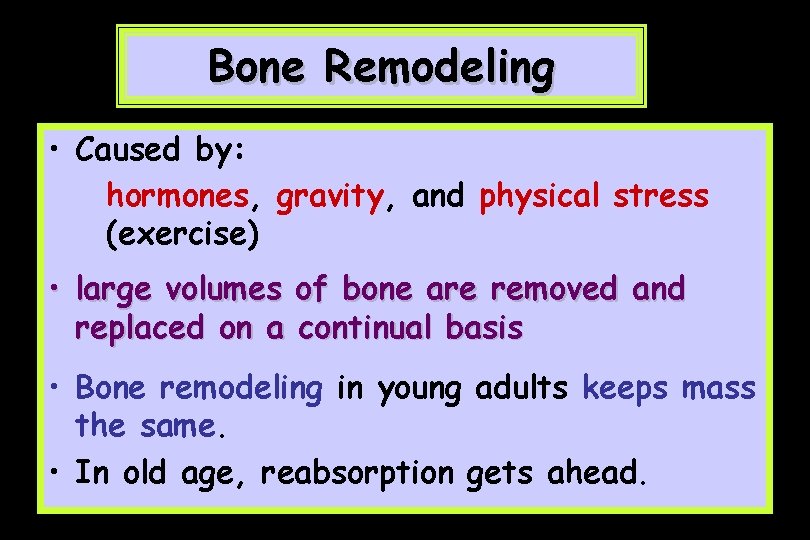 Bone Remodeling • Caused by: hormones, gravity, and physical stress (exercise) • large volumes