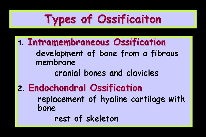 Types of Ossificaiton 1. Intramembraneous Ossification development of bone from a fibrous membrane cranial