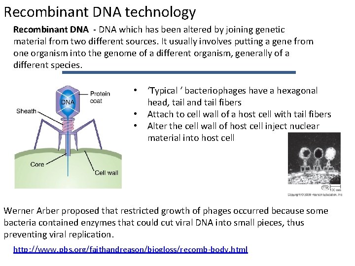 Recombinant DNA technology Recombinant DNA - DNA which has been altered by joining genetic