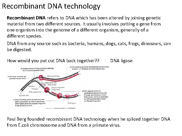 Recombinant DNA technology Recombinant DNA refers to DNA which has been altered by joining