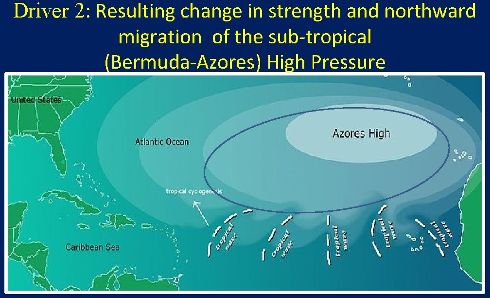Driver 2: Resulting change in strength and northward migration of the sub-tropical (Bermuda-Azores) High