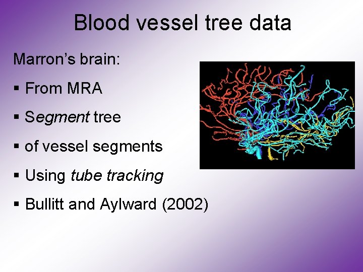 Blood vessel tree data Marron’s brain: § From MRA § Segment tree § of