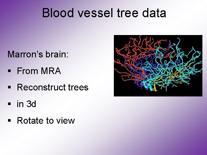 Blood vessel tree data Marron’s brain: § From MRA § Reconstruct trees § in