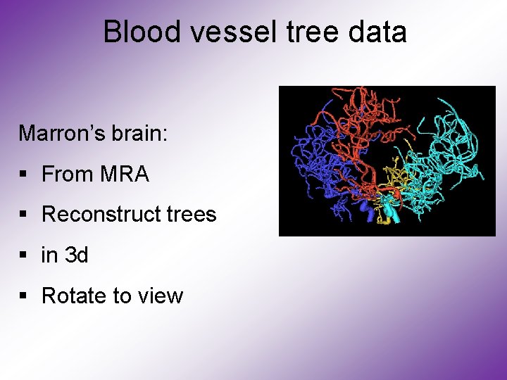 Blood vessel tree data Marron’s brain: § From MRA § Reconstruct trees § in