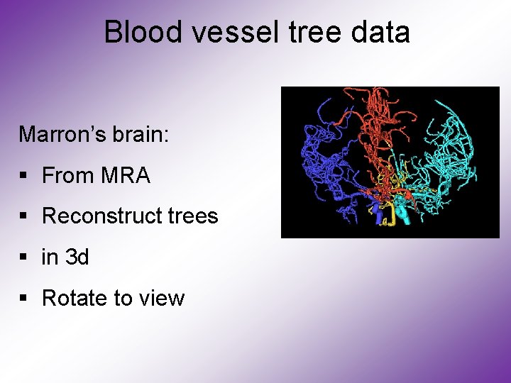 Blood vessel tree data Marron’s brain: § From MRA § Reconstruct trees § in