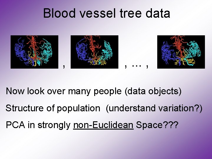 Blood vessel tree data , , . . . , Now look over many