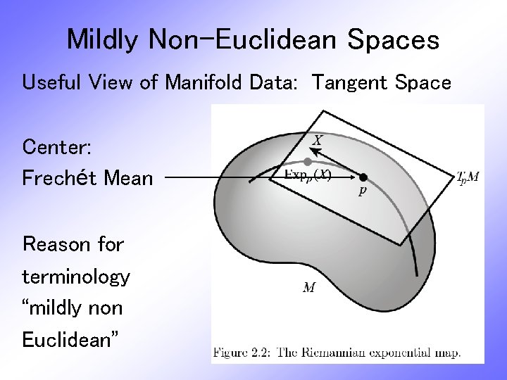 Mildly Non-Euclidean Spaces Useful View of Manifold Data: Tangent Space Center: Frechét Mean Reason