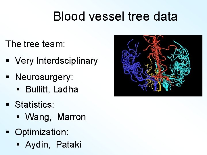 Blood vessel tree data The tree team: § Very Interdsciplinary § Neurosurgery: § Bullitt,