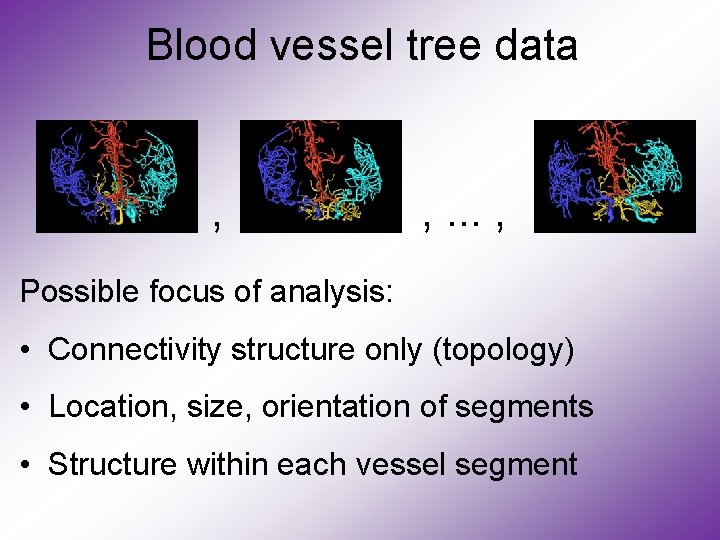 Blood vessel tree data , , . . . , Possible focus of analysis: