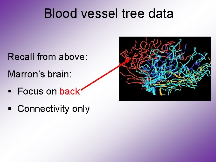 Blood vessel tree data Recall from above: Marron’s brain: § Focus on back §