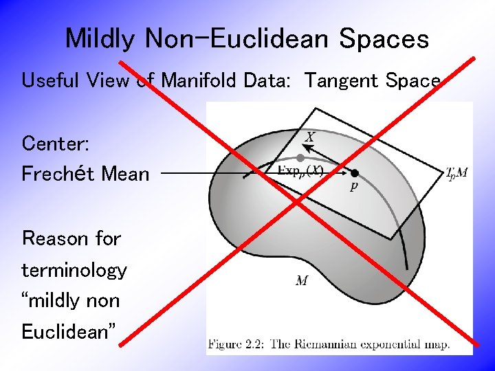 Mildly Non-Euclidean Spaces Useful View of Manifold Data: Tangent Space Center: Frechét Mean Reason