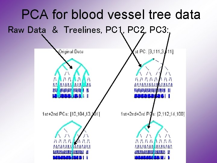 PCA for blood vessel tree data Raw Data & Treelines, PC 1, PC 2,