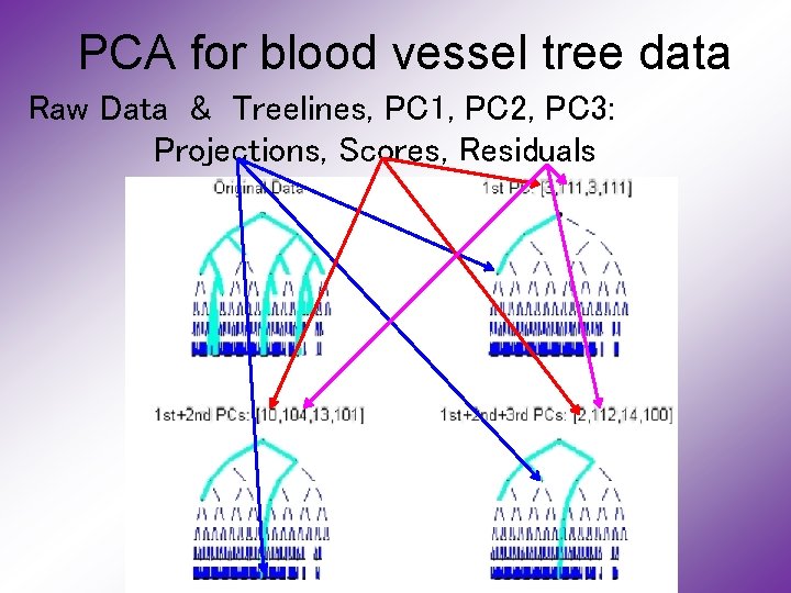 PCA for blood vessel tree data Raw Data & Treelines, PC 1, PC 2,