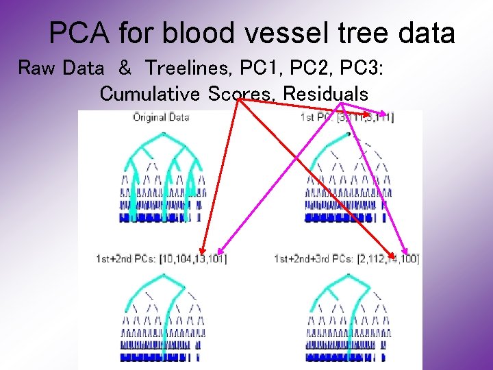 PCA for blood vessel tree data Raw Data & Treelines, PC 1, PC 2,