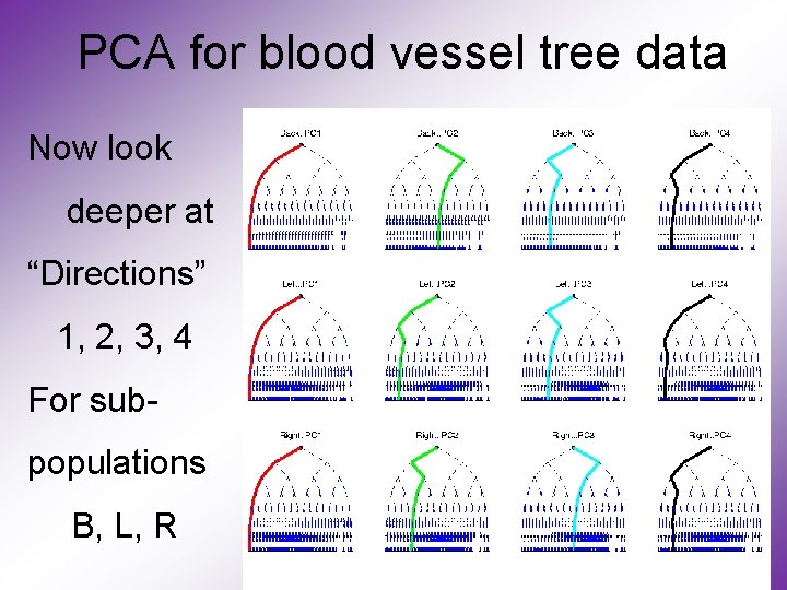 PCA for blood vessel tree data Now look deeper at “Directions” 1, 2, 3,
