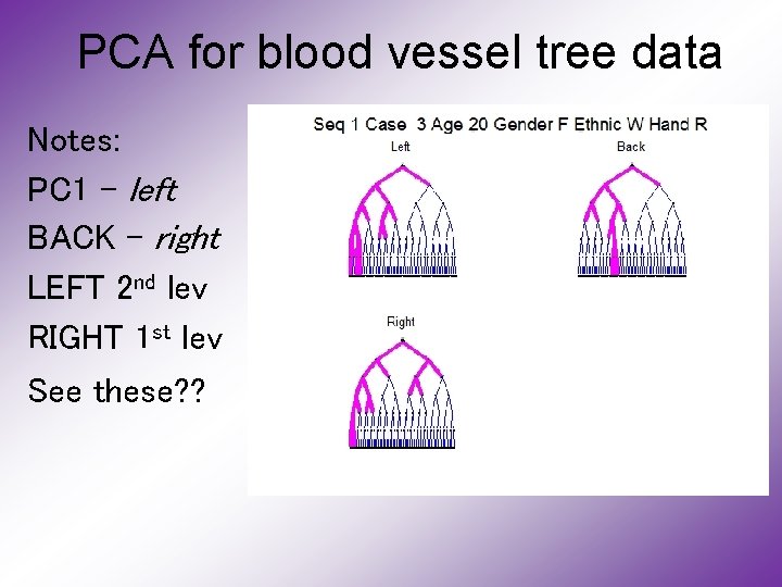 PCA for blood vessel tree data Notes: PC 1 - left BACK - right