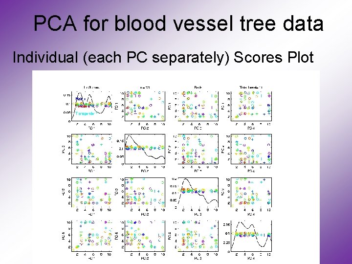 PCA for blood vessel tree data Individual (each PC separately) Scores Plot 