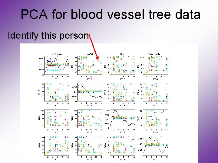 PCA for blood vessel tree data Identify this person 