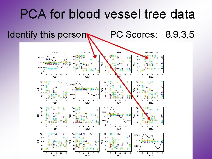 PCA for blood vessel tree data Identify this person PC Scores: 8, 9, 3,