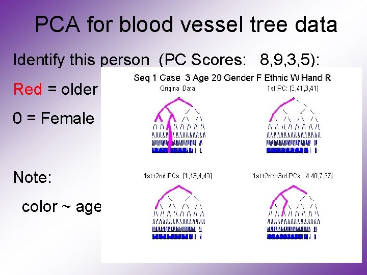 PCA for blood vessel tree data Identify this person (PC Scores: 8, 9, 3,