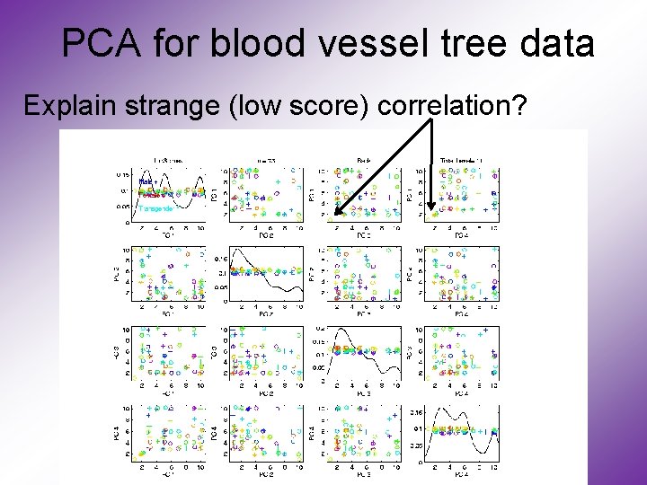 PCA for blood vessel tree data Explain strange (low score) correlation? 