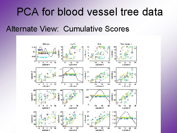 PCA for blood vessel tree data Alternate View: Cumulative Scores 