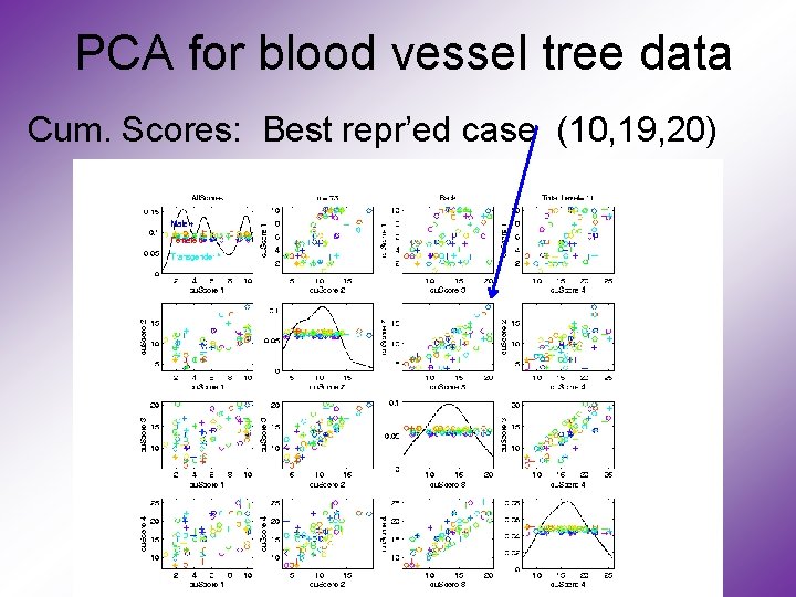 PCA for blood vessel tree data Cum. Scores: Best repr’ed case (10, 19, 20)