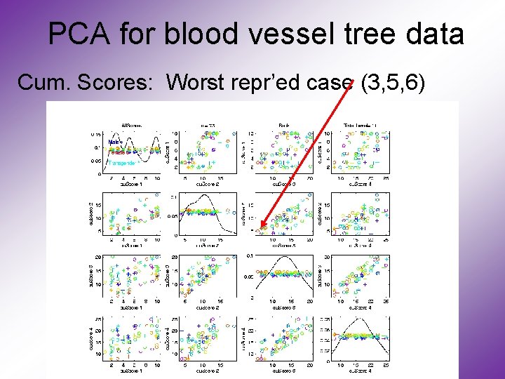 PCA for blood vessel tree data Cum. Scores: Worst repr’ed case (3, 5, 6)